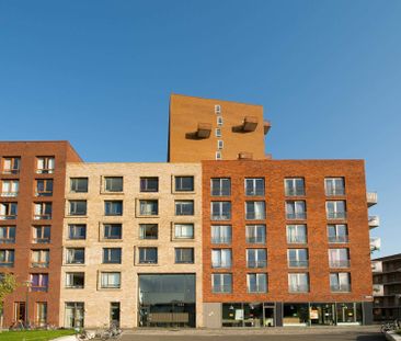 Studio à Omegaplantsoen, Leiden - À Louer - Photo 2