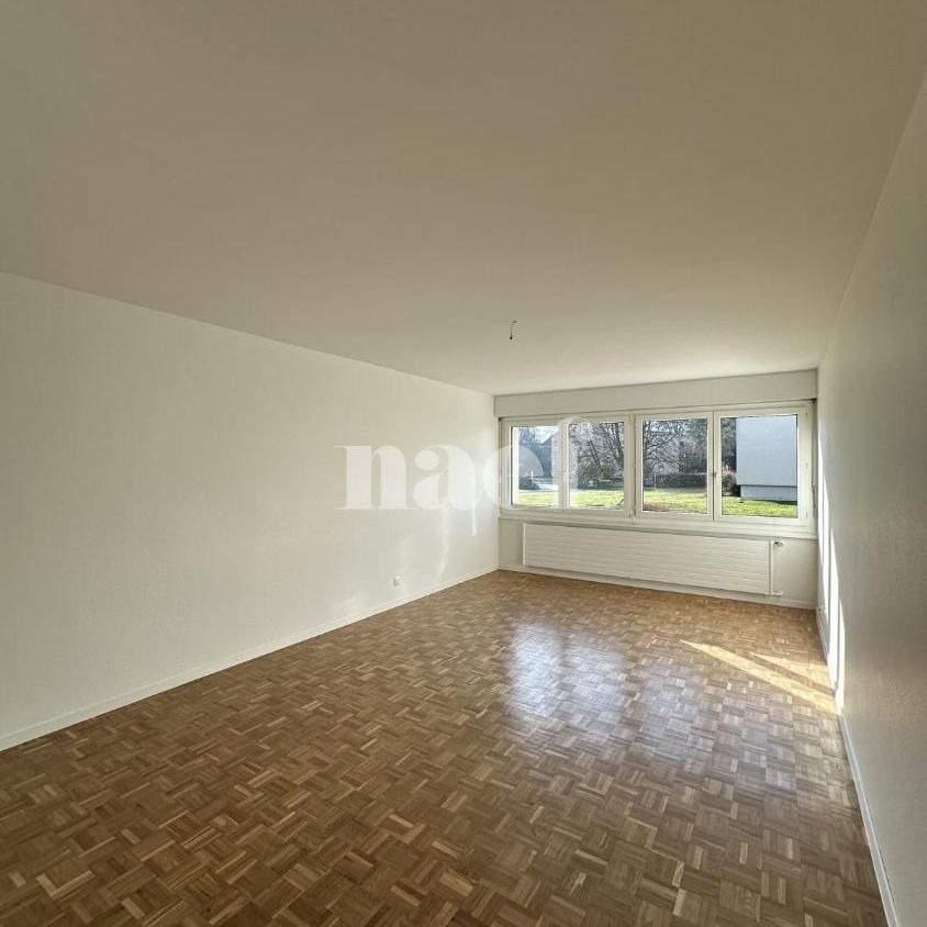 2 Zimmer, 51 m², EG - Photo 1