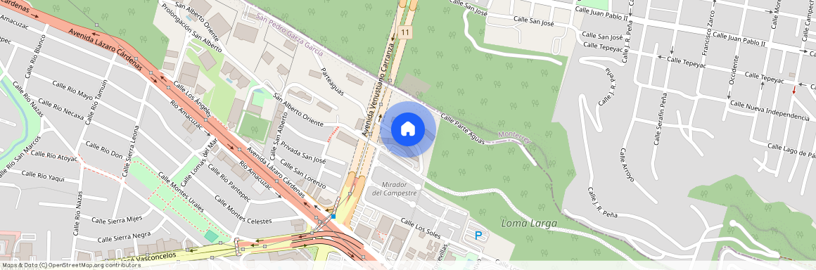 Prolongación San Alberto 417-417, Villa San Agustín, San Pedro Garza García, Nuevo León, 66266, MEX