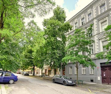 Apartment for rent, 1+1 - Studio, 41m - Photo 5