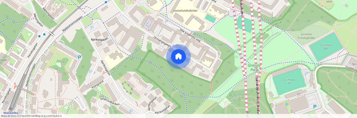 Hässelby gård, Stockholm, Ormängsgatan 38