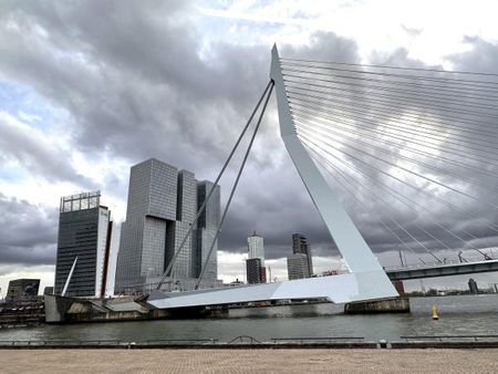 Te huur: Studio Prins Hendriklaan in Rotterdam - Foto 3