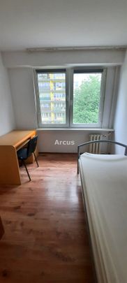 Grabówka, Bitwy pod Studziankami, Tarnów - Photo 1