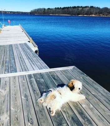 Väddö - 11rok - tillsv - 21.850kr/mån - Foto 1