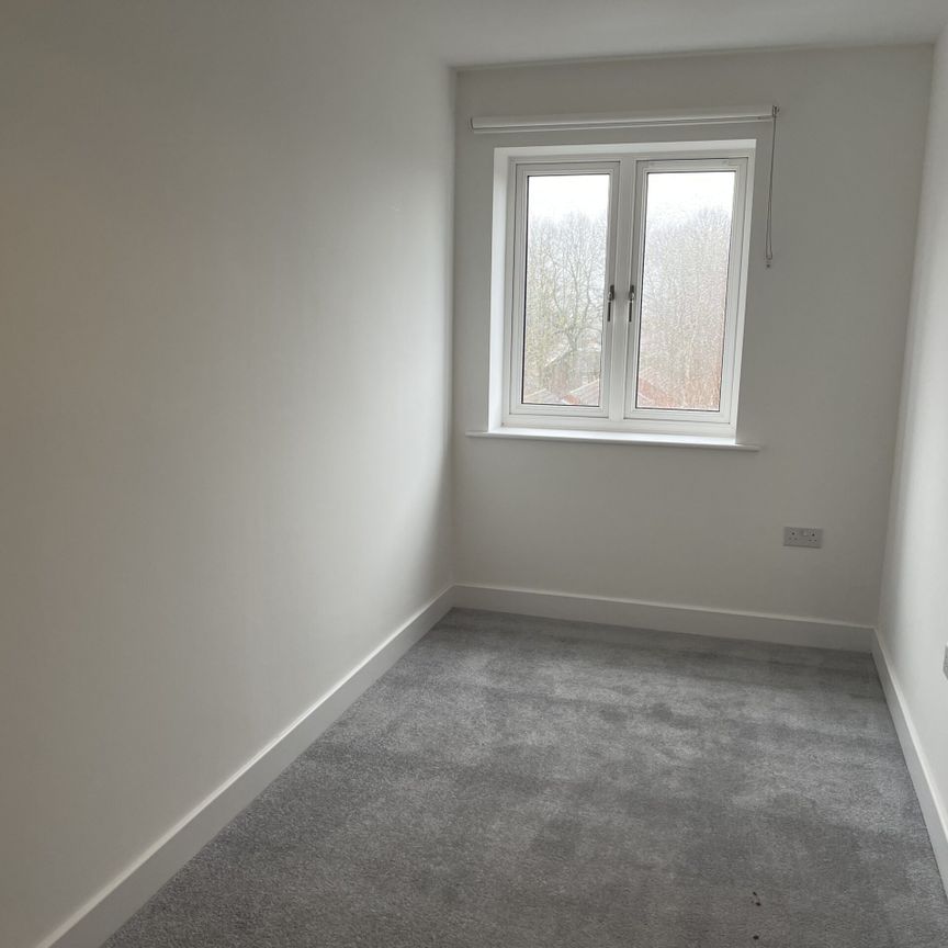 The Starley - Photo 1