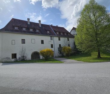 3 Zimmerwohnung in absoluter Ruhe und grüner Lage, neben dem Stift ... - Foto 4
