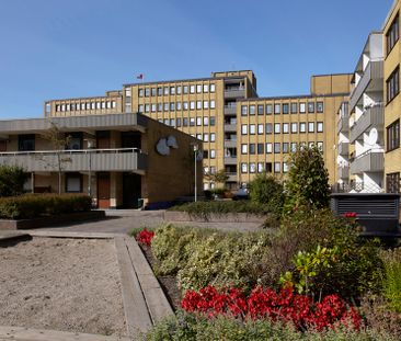 Bergsgatan 42, Möllevången - Photo 5