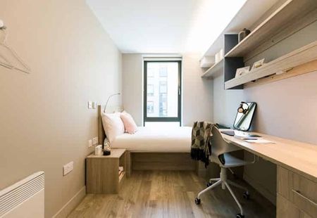 Gold Shared House - Photo 5