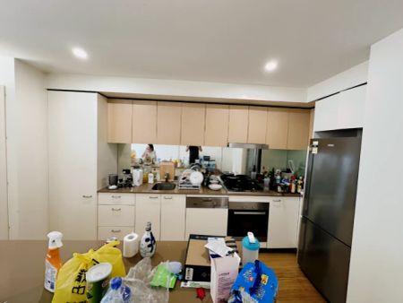17 Gadigal Avenue, Sydney - Photo 3