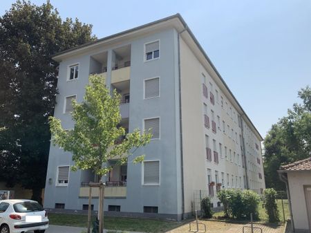 Demnächst frei! 3-Zimmer-Wohnung in Landau in der Pfalz - Photo 2