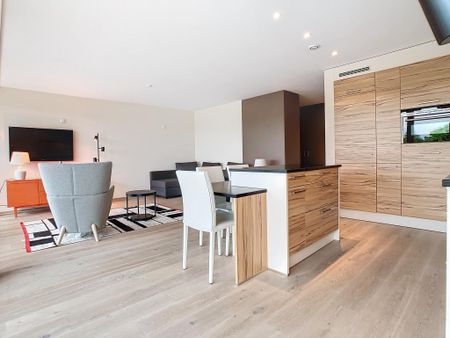 Superbe studio meublé et équipé avec terrasse vue lac et Alpes - Photo 2