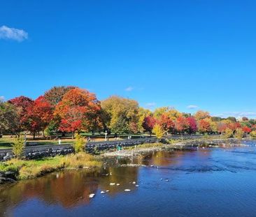 For Lease - 8 Carlotta Avenue, Vanier and Kingsview Park, Ontario - Photo 5