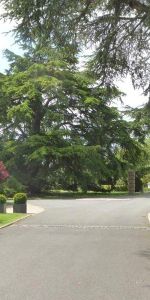 3 bedroom house to rent - Photo 4