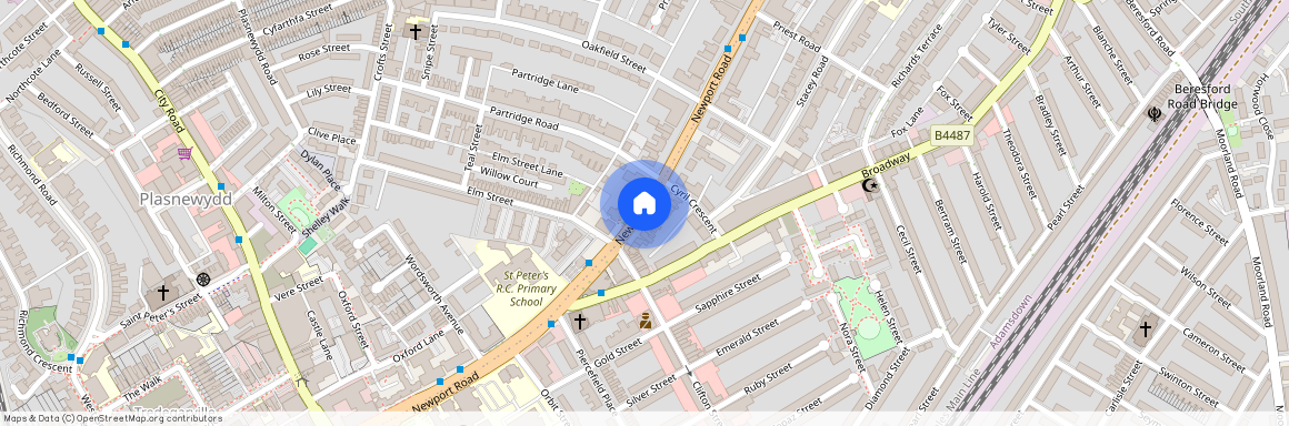 Newport Road, Roath, CF24 1DG, Newport Road, Roath, CF24 1DG