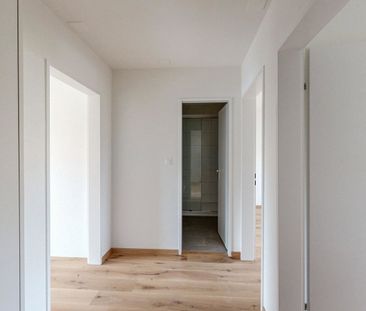 2.5 Zimmer, 48 m², 1. Stock - Photo 5