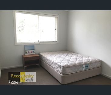 11 Jacknorman Street, Waratah West, NSW 2298 - Photo 3