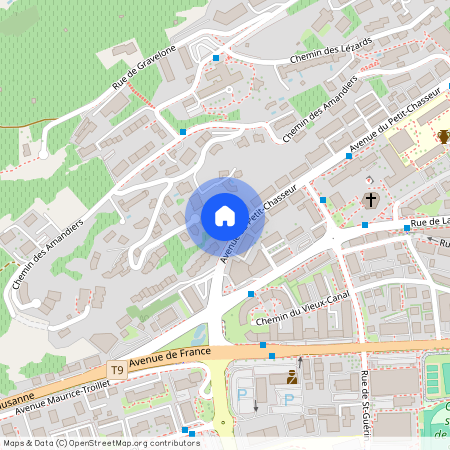 Av. du Petit-Chasseur 90, 1950 Sion