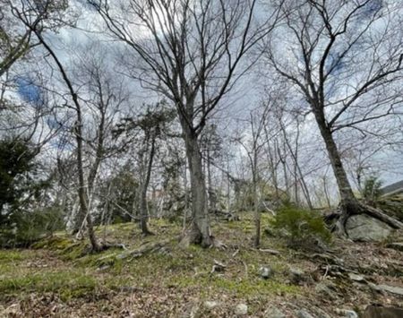 Bright 2 Bed Loft Upper Unit – Basin Views – All Utilities Included - Photo 3