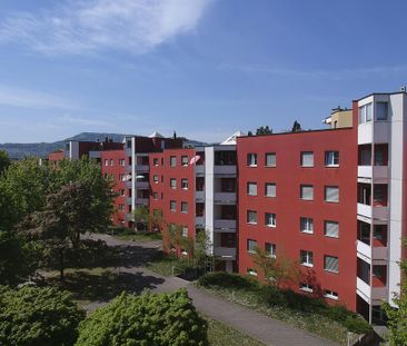 Schöne, ruhige Wohnung direkt an der Birs - Photo 5