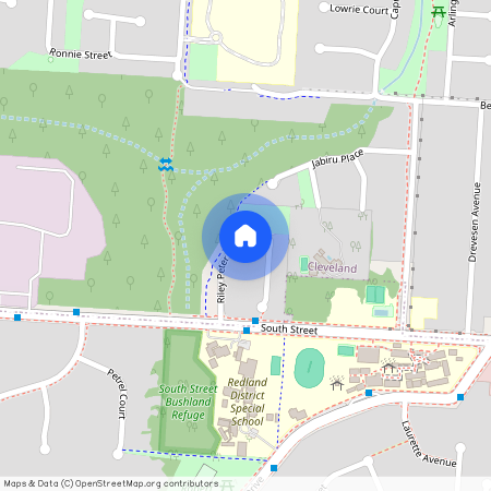 19 Riley Peter Place, Cleveland QLD 4163