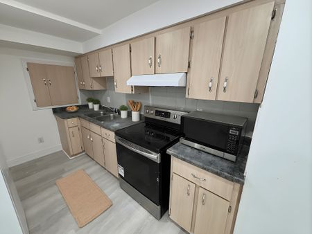 For Lease - 213 Equator Crescent Unit# Lower Level, Vaughan, Ontario - Photo 4