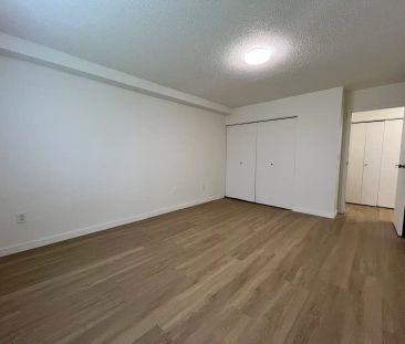 Belaire Apartments — 1 Bedroom + 1 Bath - Photo 5