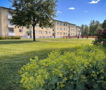 Hedhamregatan 7 E - Photo 1