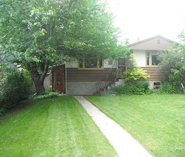 Newly renovated Clean 2bedroom,quiet street, pet friendly | Calgary - Photo 1