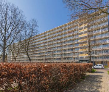 Engelandlaan 818 - Photo 6