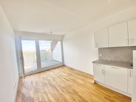 U3 ERSTBEZUG Top Dachwohnung 2 Zimmer + Terrasse =DAS LAURENZ= 1 bedroom apartment+terrace - Foto 2