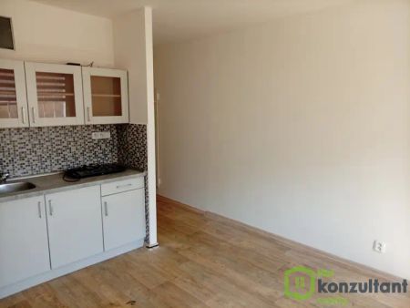 Neštěmice byt pronájem - Photo 2