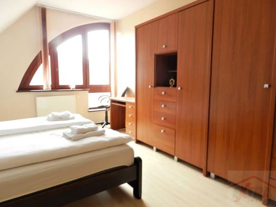 MIESZKANIE na WYNAJEM SZCZECIN (435529) - Photo 1