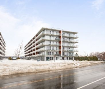 170 Rue Principale, #233 - Photo 5