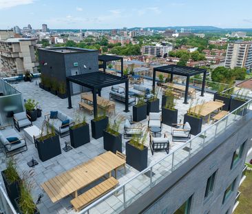 Story of Rideau & Chapel - Photo 3