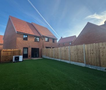 Bailey Drive - Photo 3