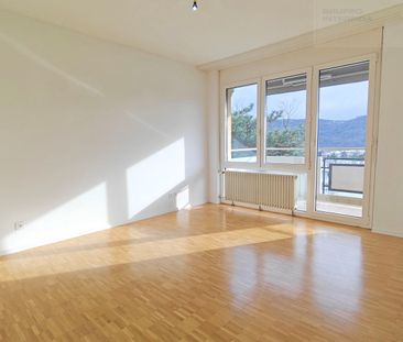 LUMINOUS 4.5 ROOMS IN MORBIO INFERIORE - Photo 5