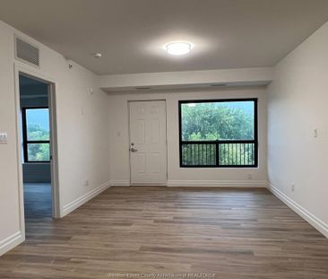 For Lease - 3340 STELLA Crescent Unit# 319, Windsor, Ontario - Photo 5