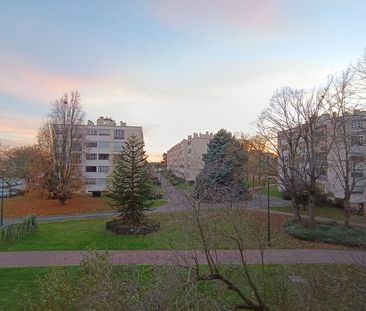 Appartement à louer 2 pièces • 43,24 m2 Chennevières-sur-Marne - Photo 5