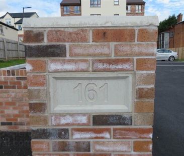 Apt 6, 161 Glen Road, Belfast, BT11 8SB - Photo 2