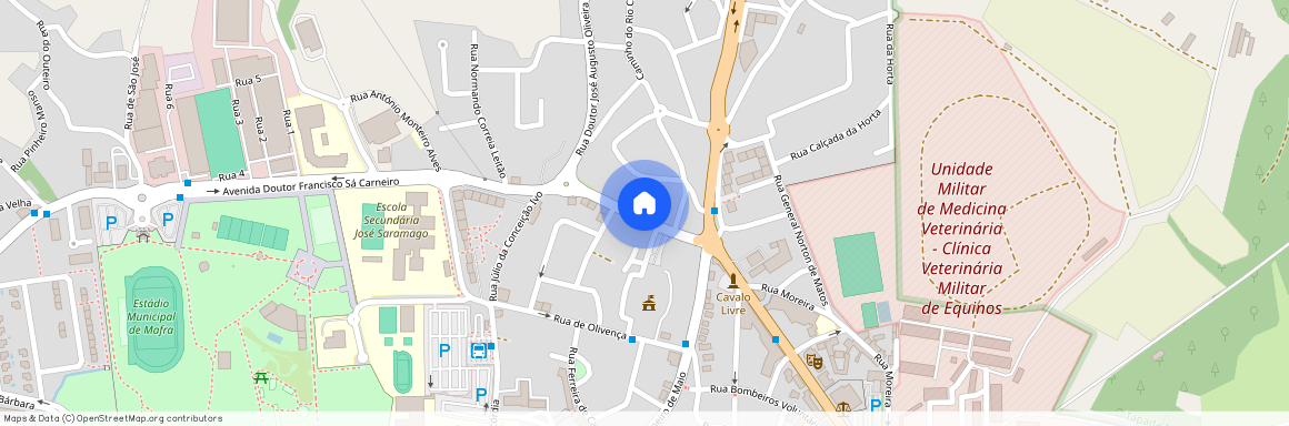 2640-542 Ericeira, Mafra, Mafra