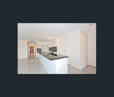 Spacious Family Home with Dual Living & Entertaining in Quiet Birkd... - Photo 6