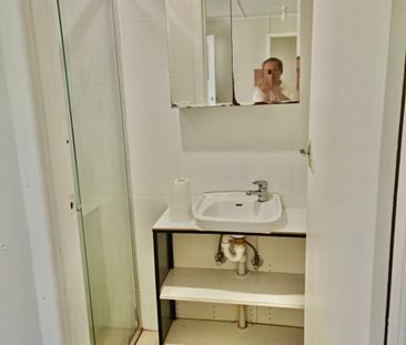 Neat & Tidy Granny Flat - Photo 3