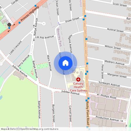 38 Ercildoune Avenue, NSW 2217, Beverley Park