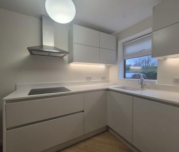 2 bedroom terraced house to rent - Photo 4