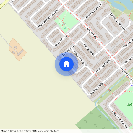 246 PURSUIT Terrace, Stittsville - Munster - Richmond