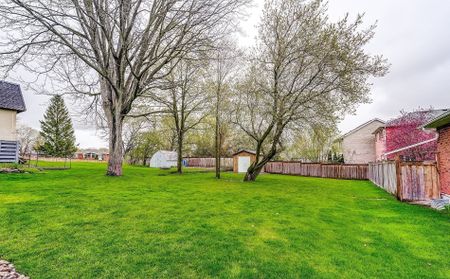 For Lease - 664 Gorham Street Unit# Main, Newmarket, Ontario - Photo 5