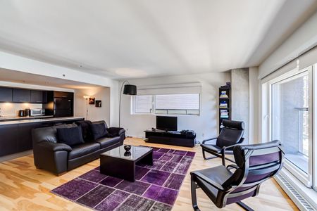 Condo for rent, Montréal (Ville-Marie) - Photo 3