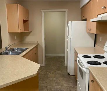 Marshall Grove East Apartments — 2 Bedroom - Photo 6