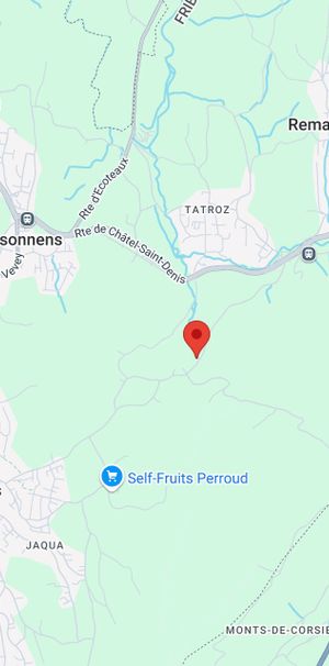 ATTALENS - 4.5 rooms in duplex with fireplace - Foto 2