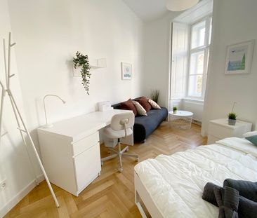 Große Neugasse Top 8 Zimmer 2 - Photo 4